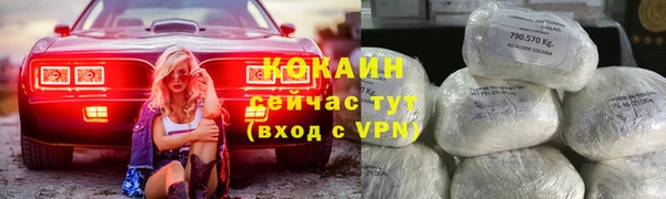 дмт Богданович